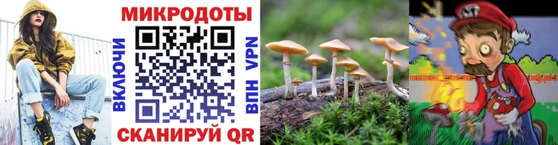ссылка на мегу вход  Опочка  Псилоцибиновые грибы мухоморы 